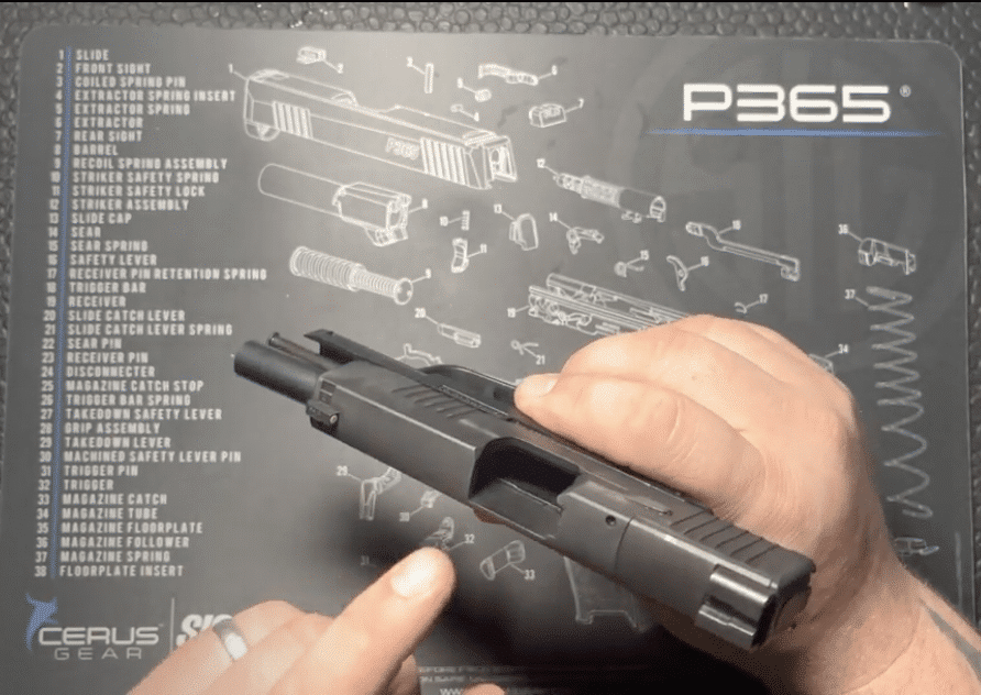 Sig Sauer P365 Clear and Safe